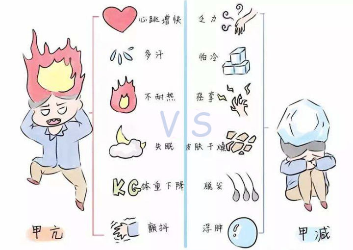 开云网页版页面登录-开云(中国)